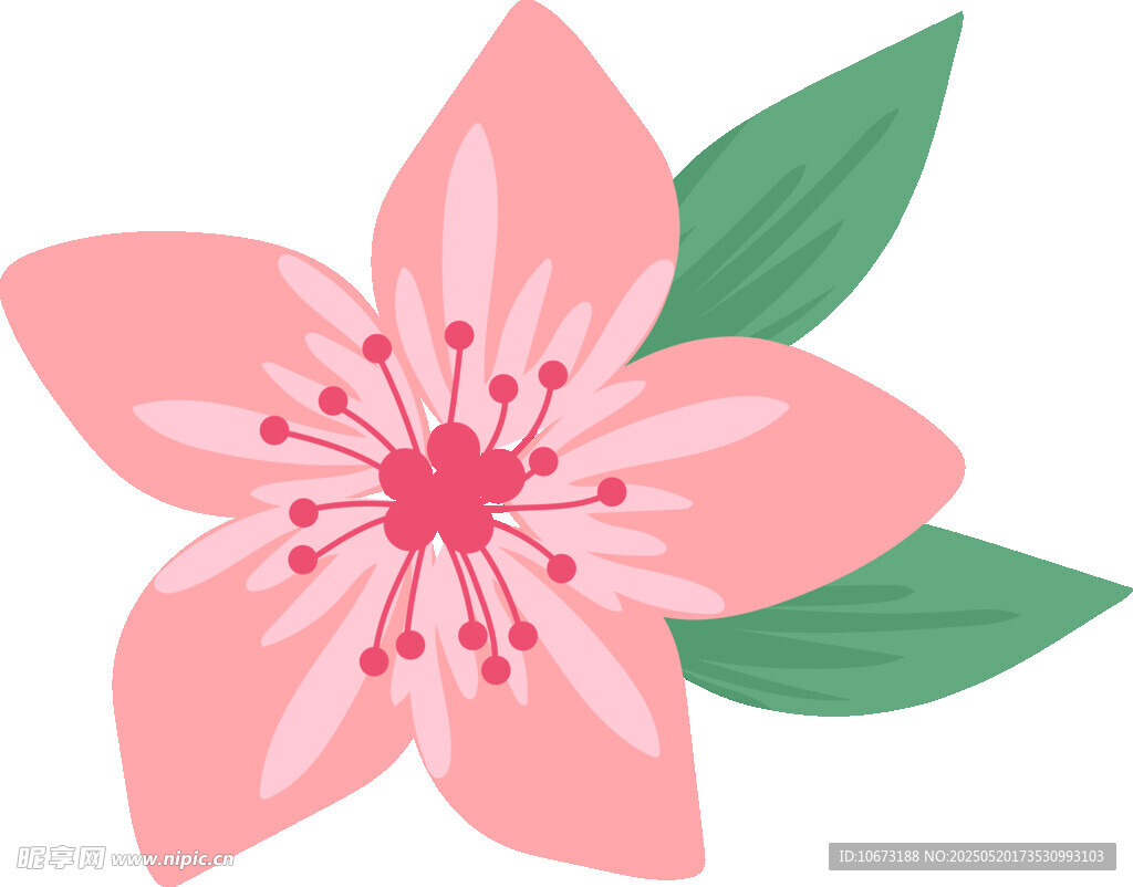 粉色花朵插画