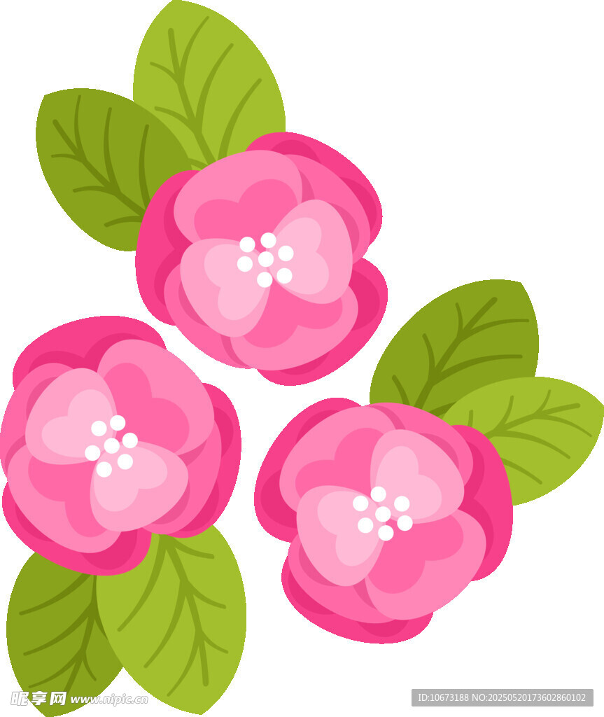 三朵粉色花朵与绿叶