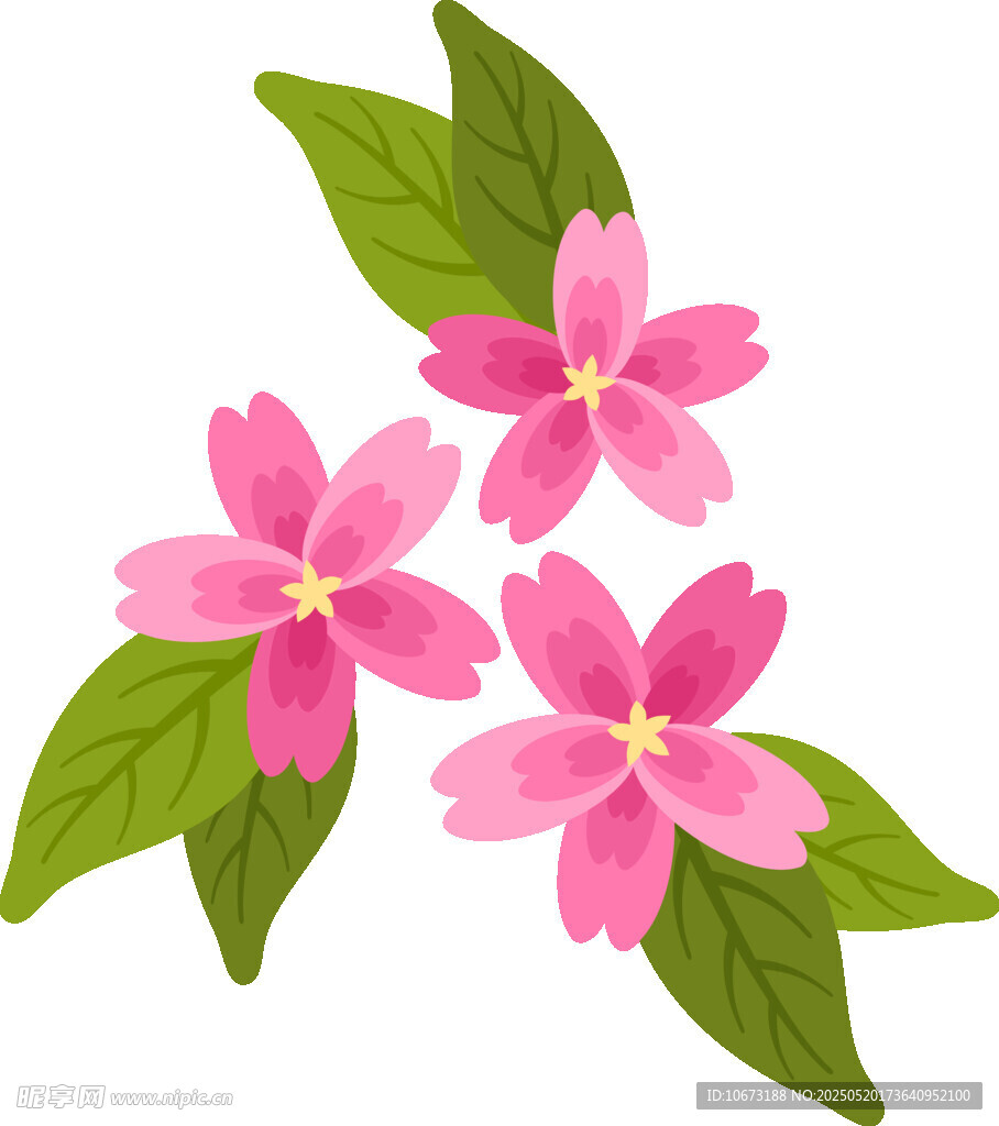 三朵粉色花朵与绿叶