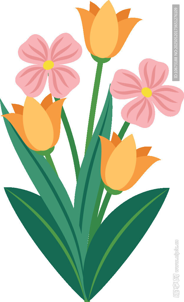 多彩花卉插画