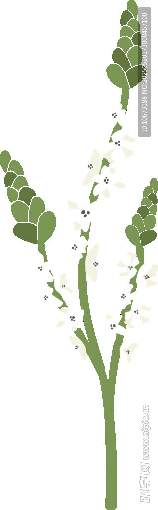 绿色植物花卉插画