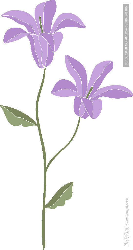 紫色花卉插画