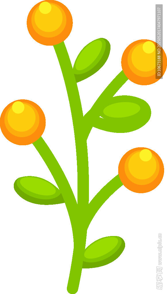 橙色果实绿植插画