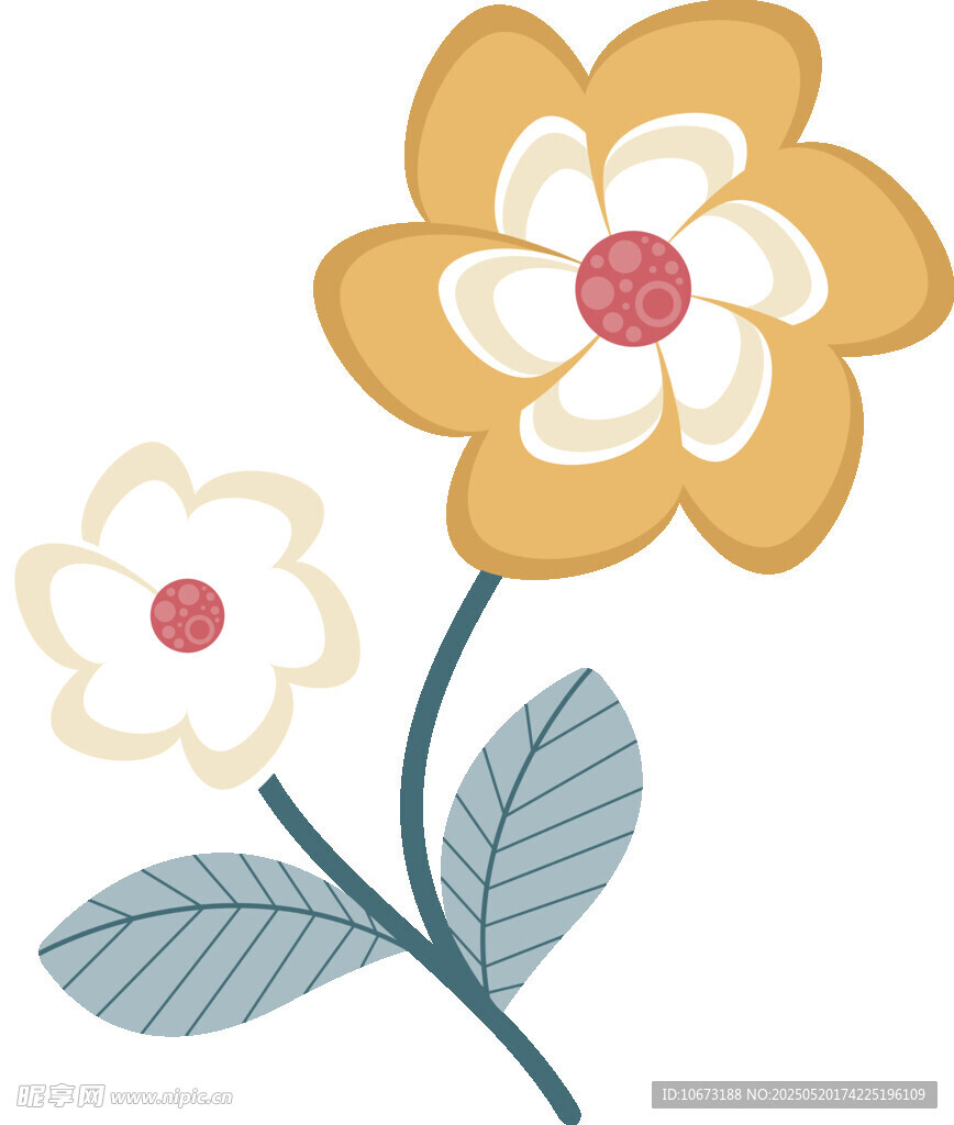 两朵小花插画