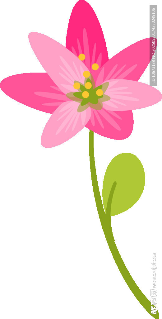 粉色单朵花插画