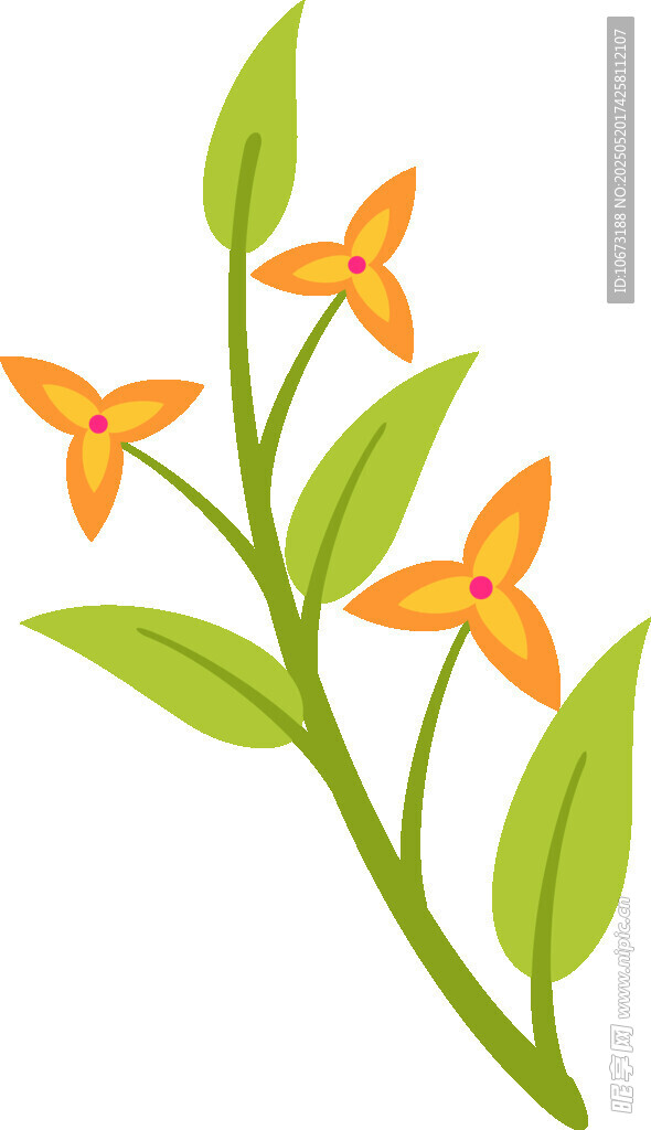 橙色小花绿叶植物插画