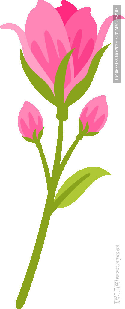 粉色花朵插画