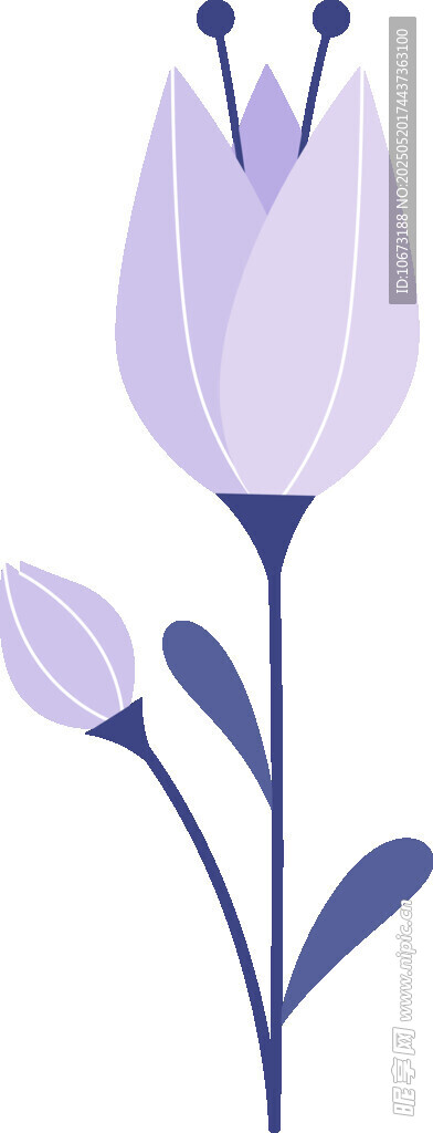 紫色花朵插画