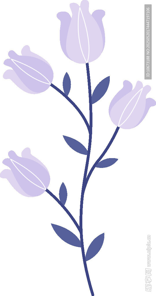 紫色郁金香花卉插画