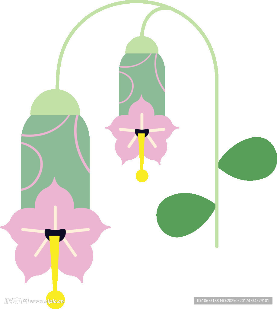 粉色吊钟花插画图案