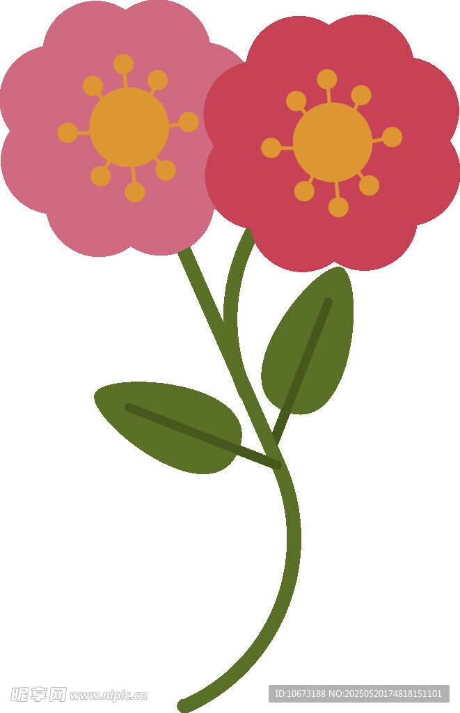 双朵花卉插画