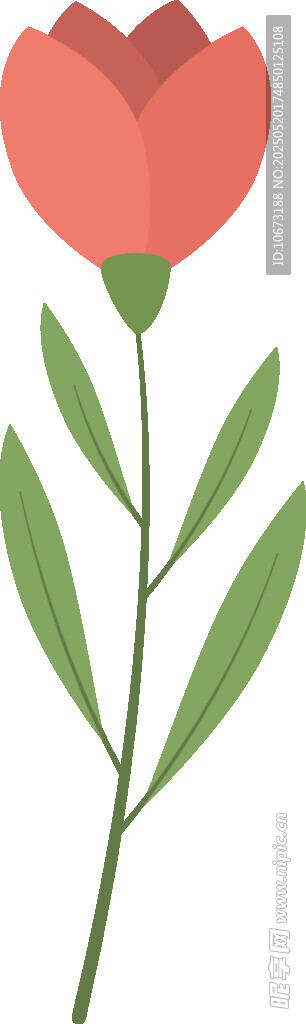红色花朵插画