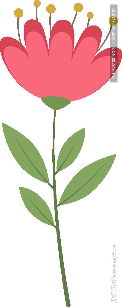 粉色花朵插画