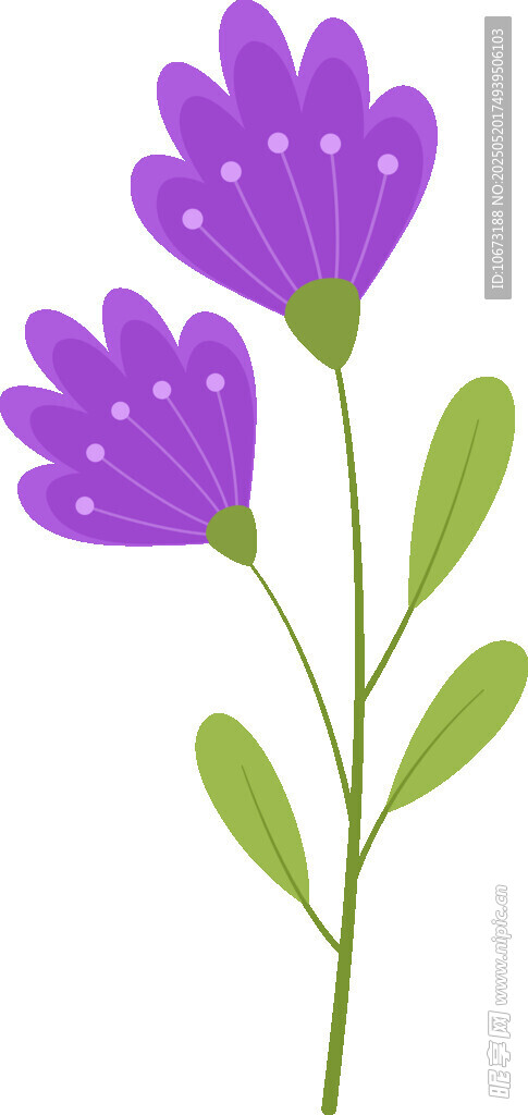 紫色小花插画