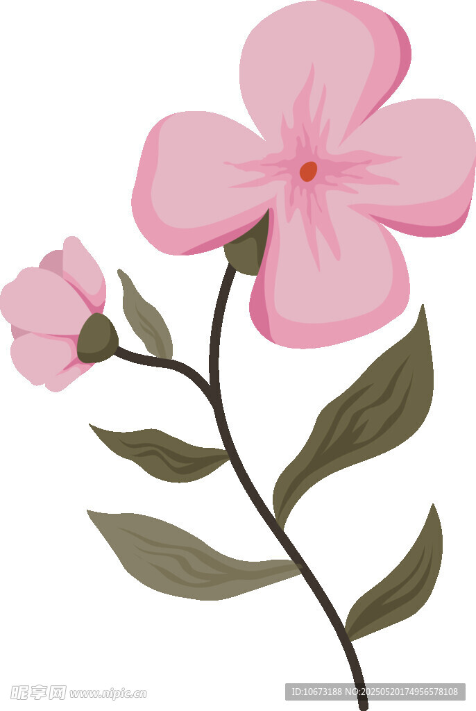 粉色小花插画