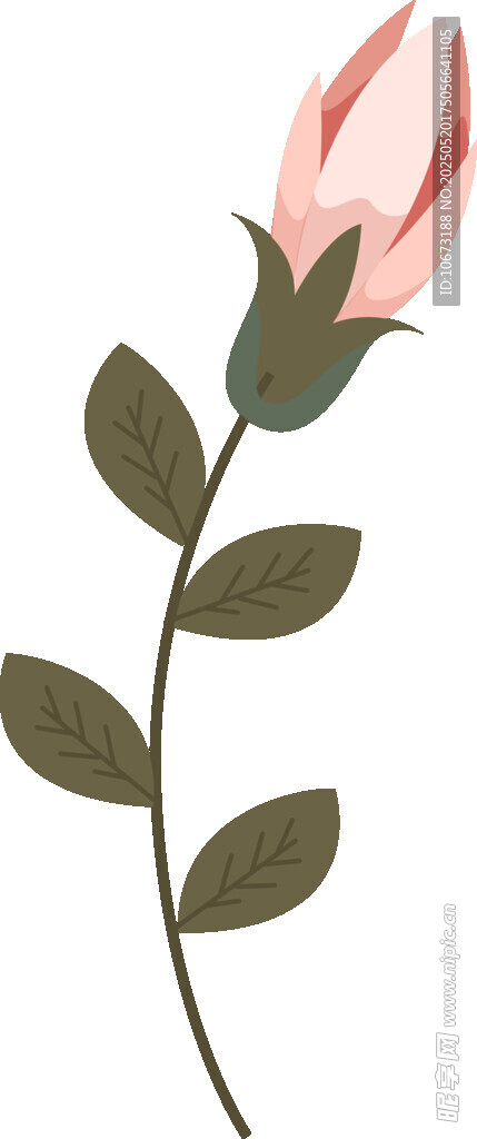 粉色花朵插画