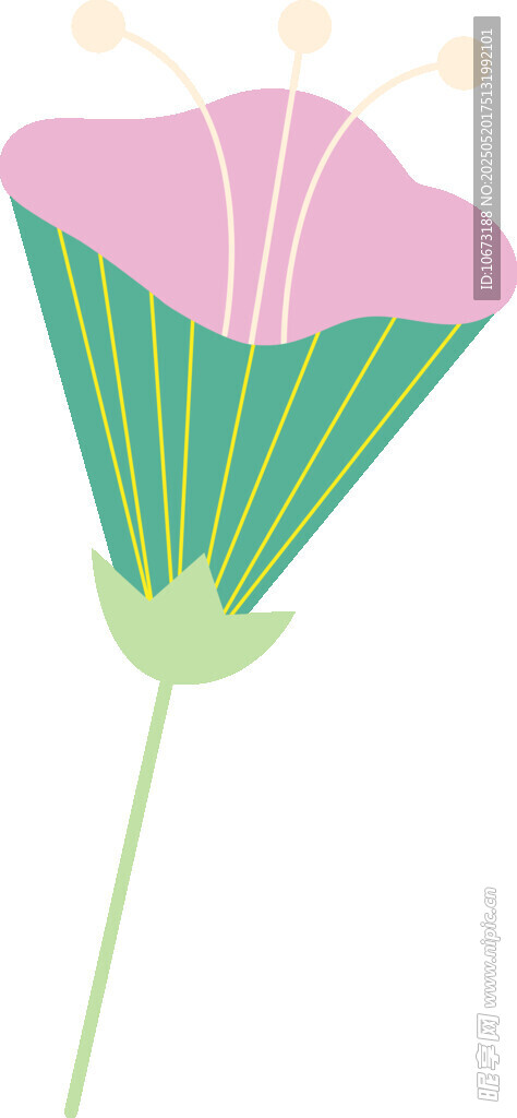 粉色花朵插画