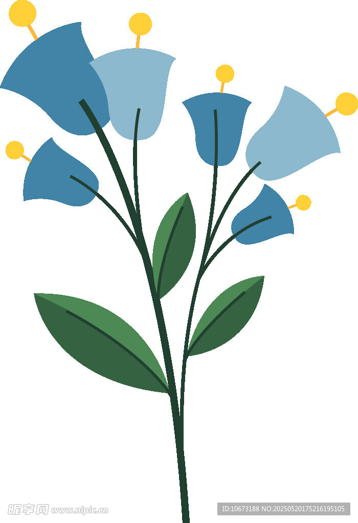 蓝色花朵插画