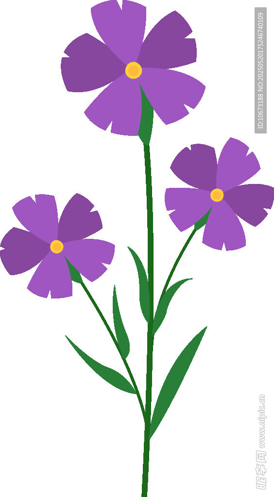 紫色小花插画