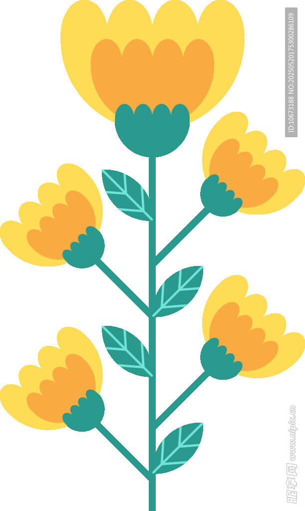 黄色花朵插画