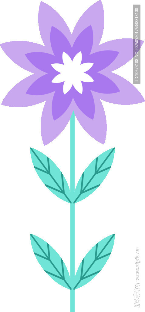 紫色花朵插画