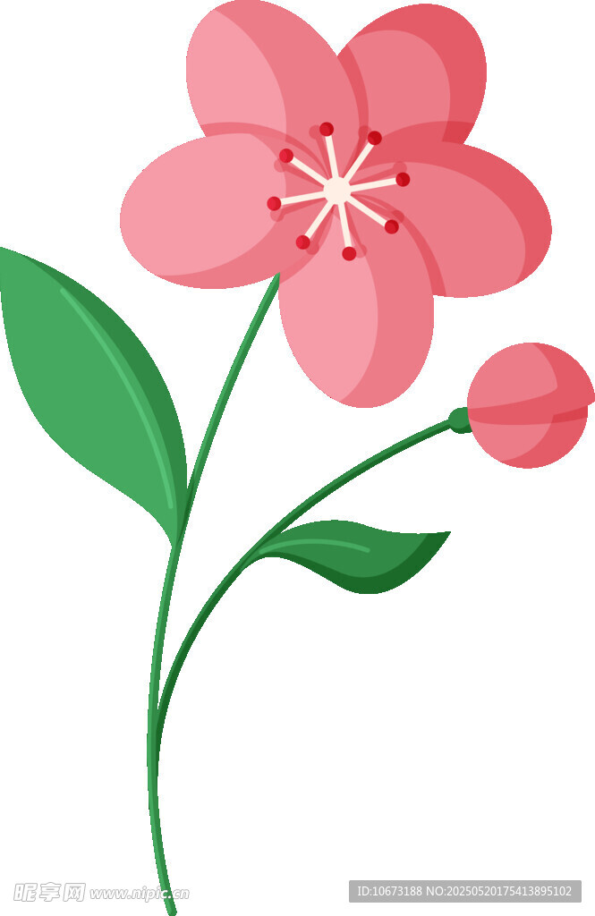 粉色花朵插画