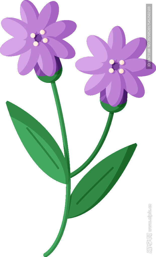 两朵紫色小花插画