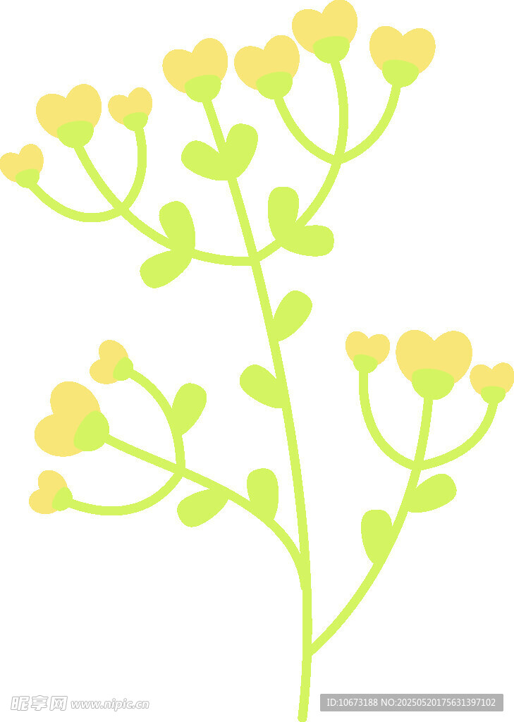 黄色小花植物插画
