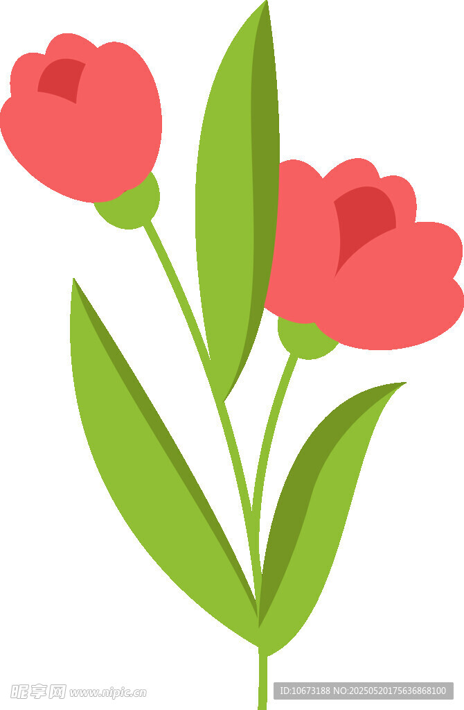 两朵娇艳的红色花卉