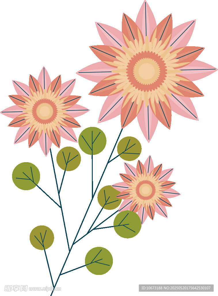 多彩花卉插画图案