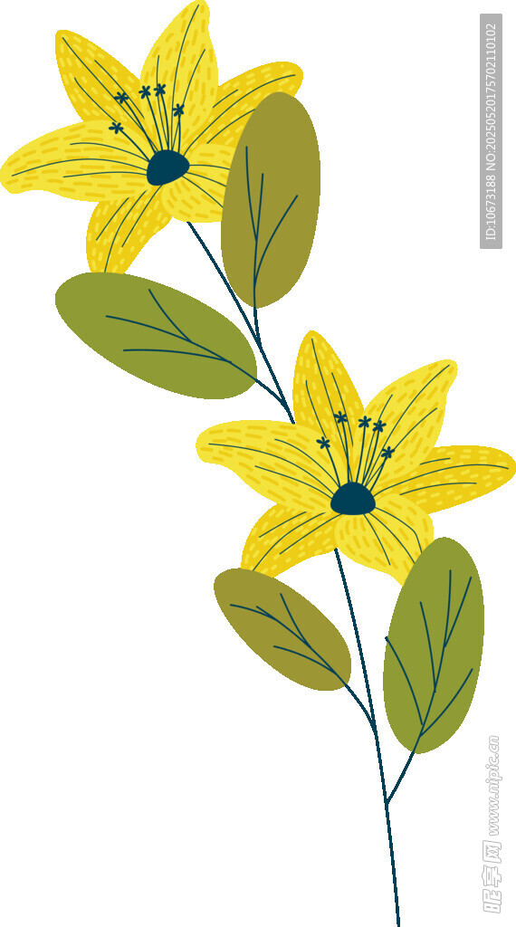 黄色花朵插画