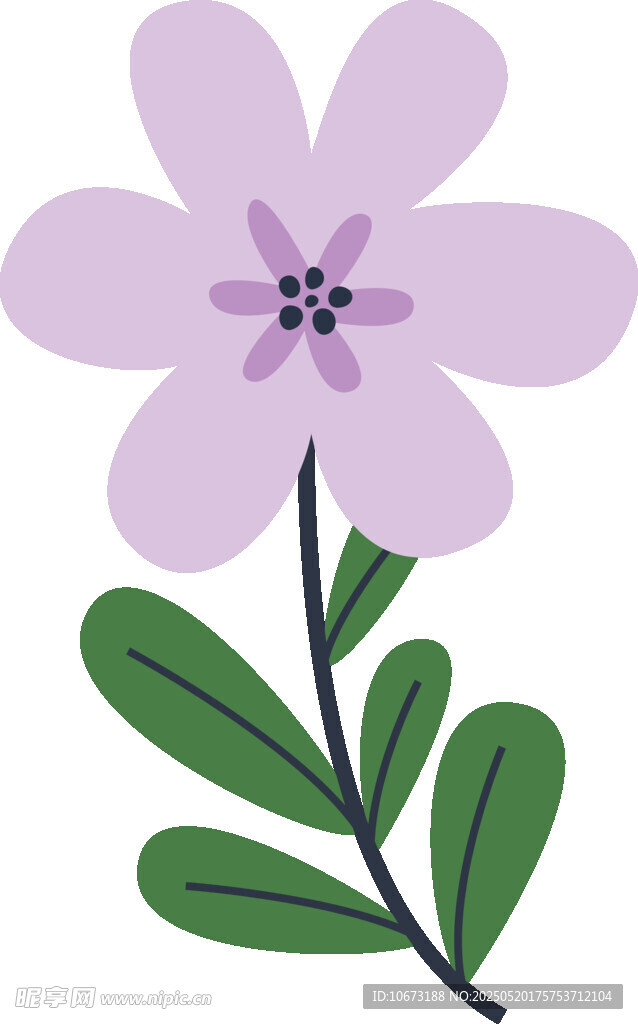 紫色小花插画