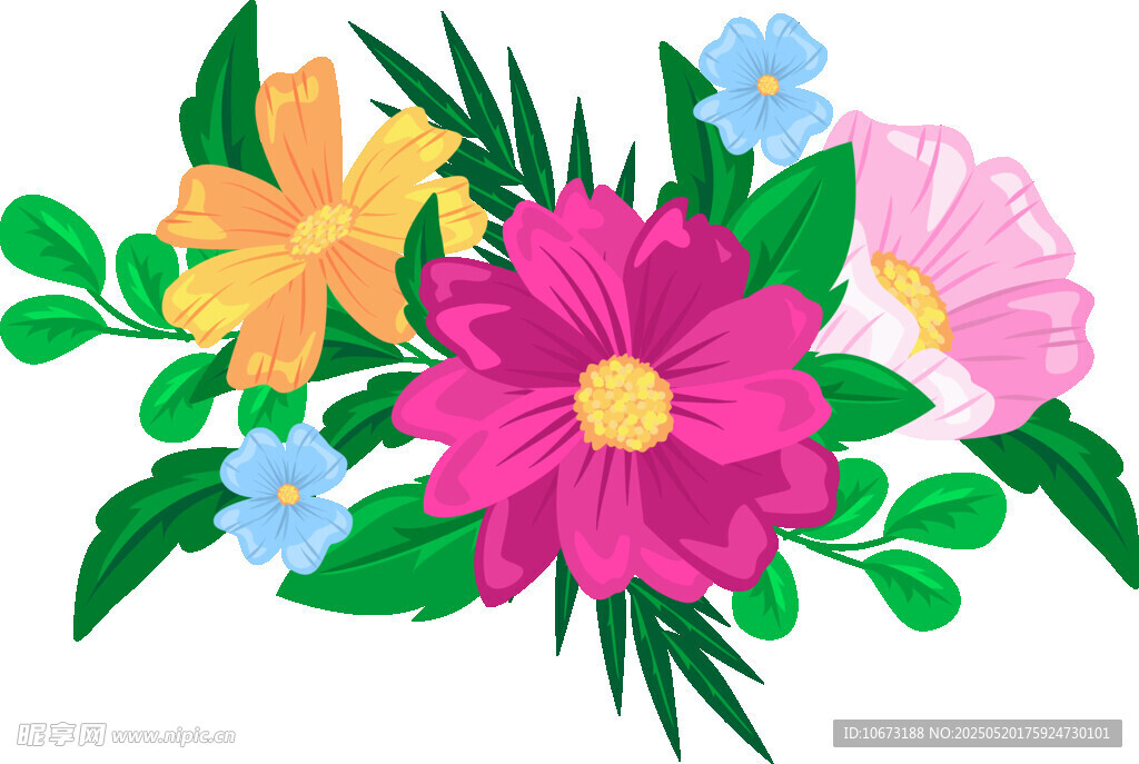 多彩花卉插画