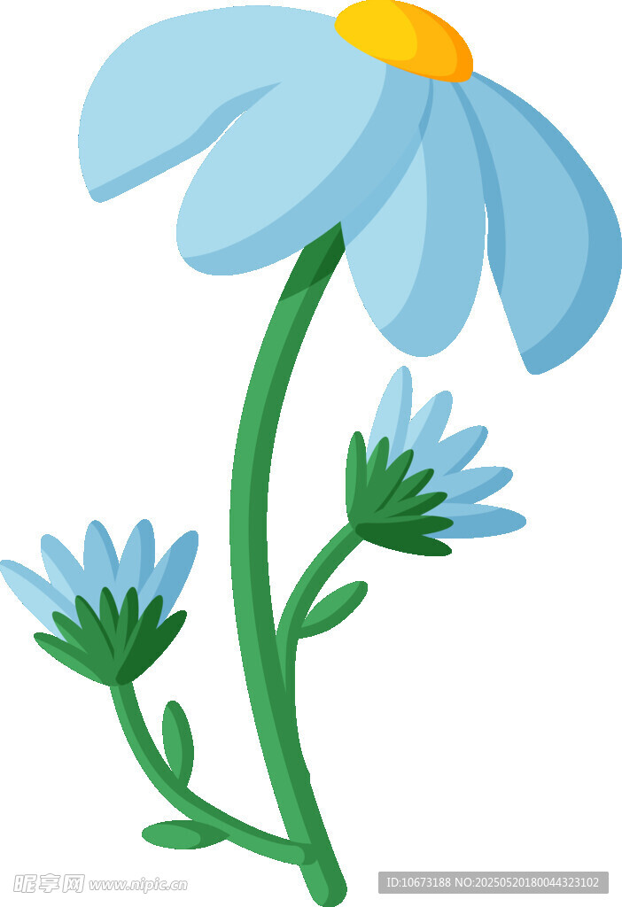 蓝色雏菊插画