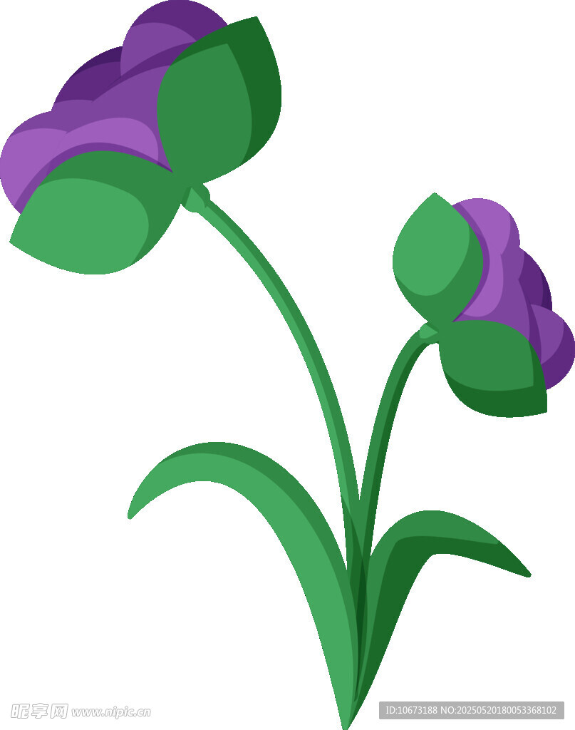 紫色花朵插画