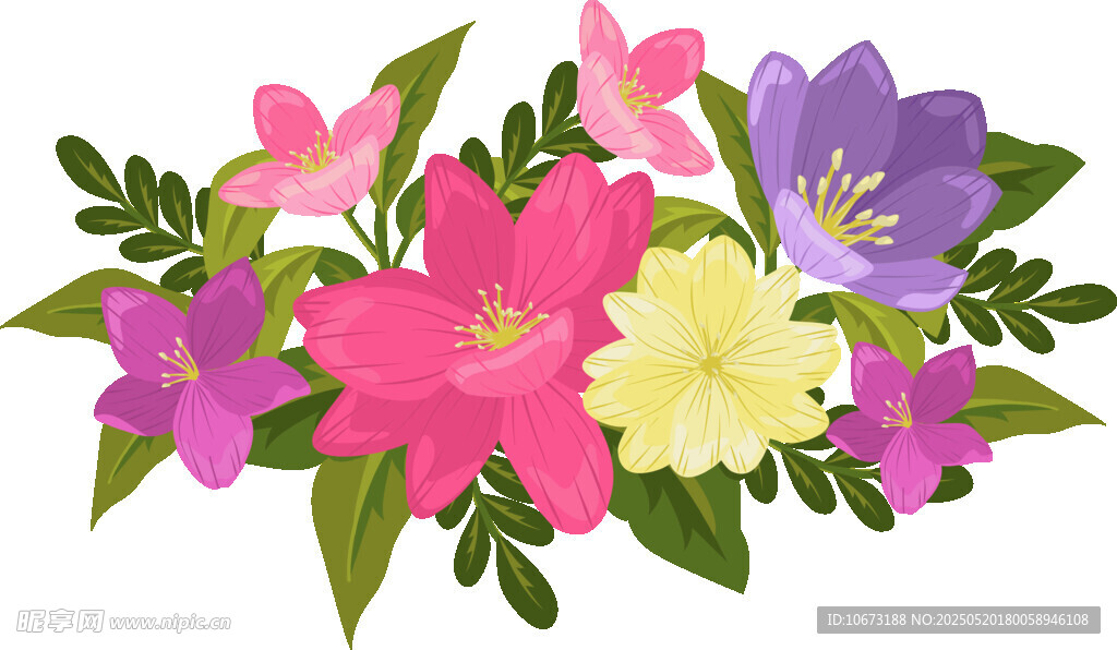 多彩花卉插画