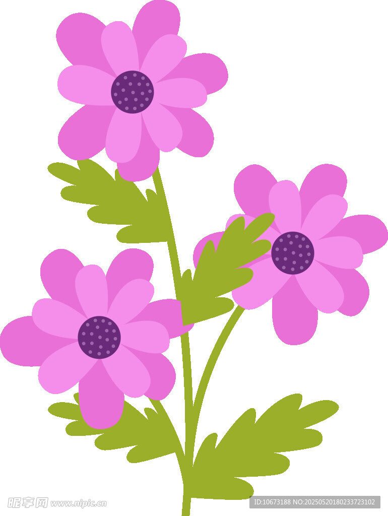 紫色小花插画