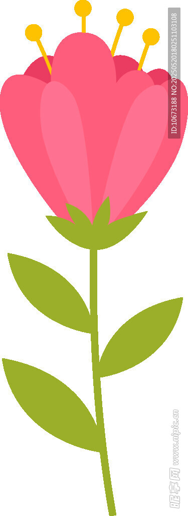 粉色花朵插画