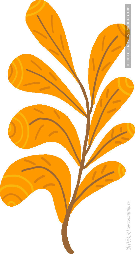 橙色叶片植物插画