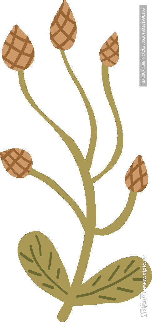 植物松果插画图案设计