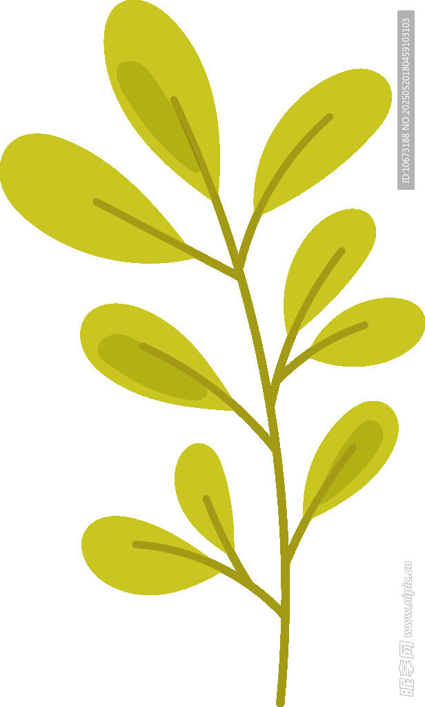 绿色枝叶插画