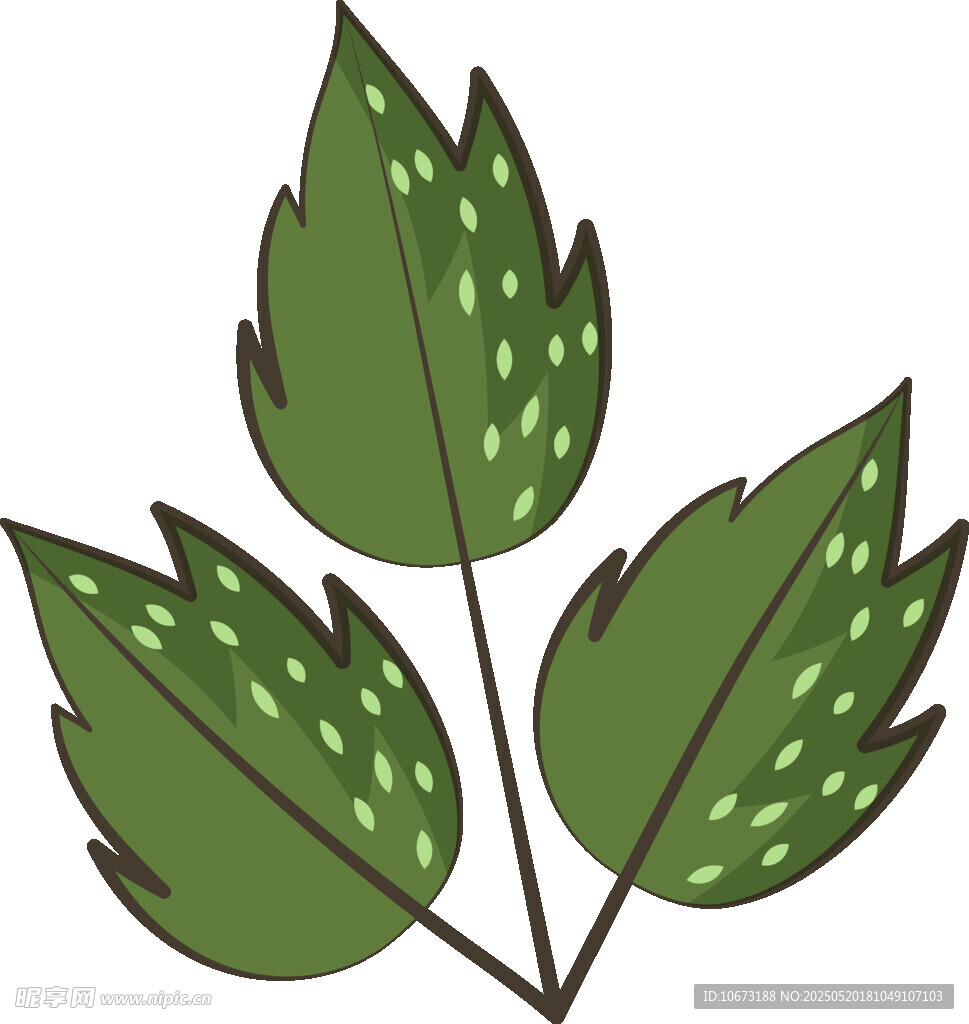 手绘绿叶植物插画