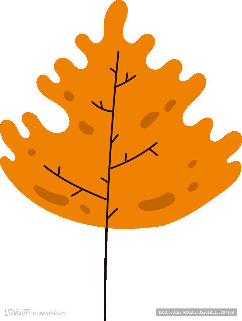 橙色枫叶插画