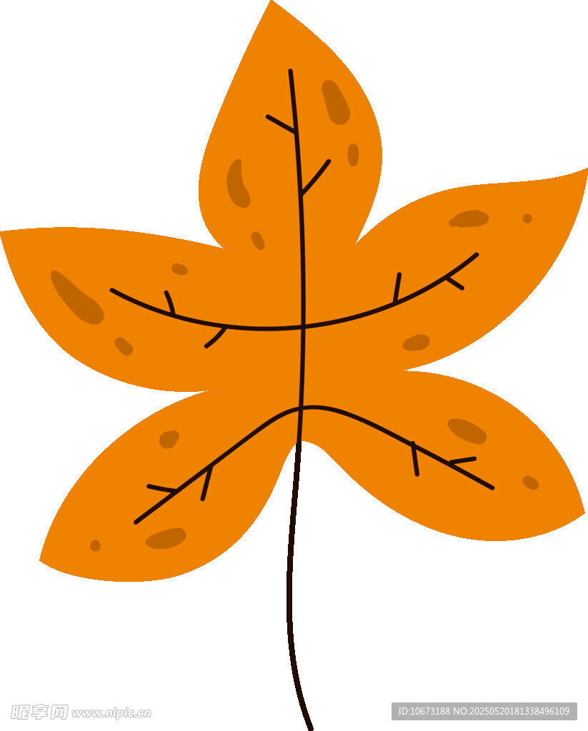 橙色枫叶插画