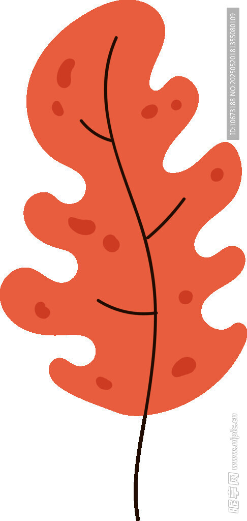 橙红色锯齿边叶片插画
