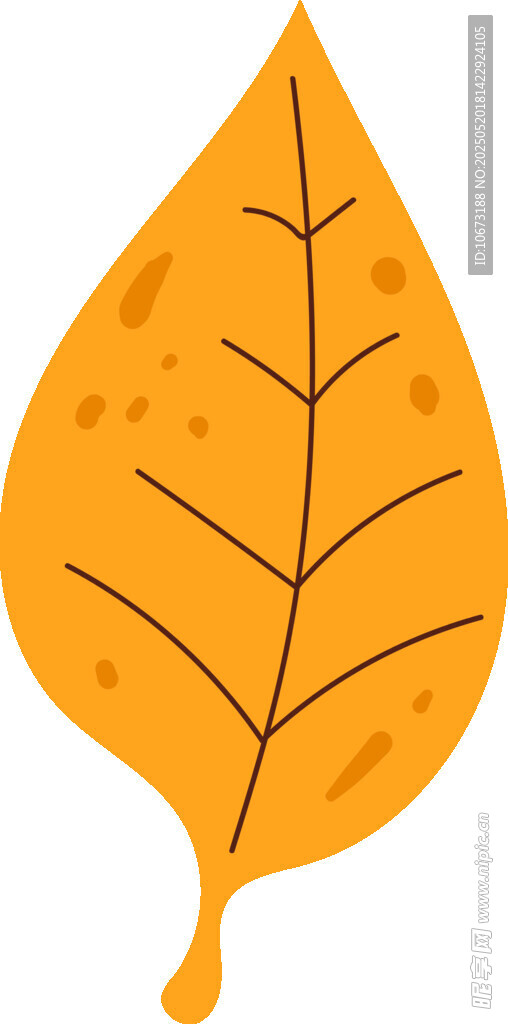 黄色枫叶插画