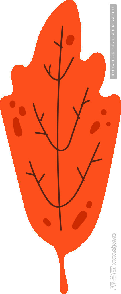 橙红色枫叶插画