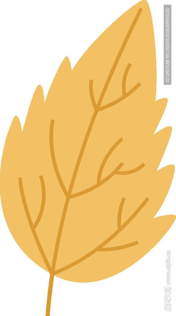 金黄叶片插画