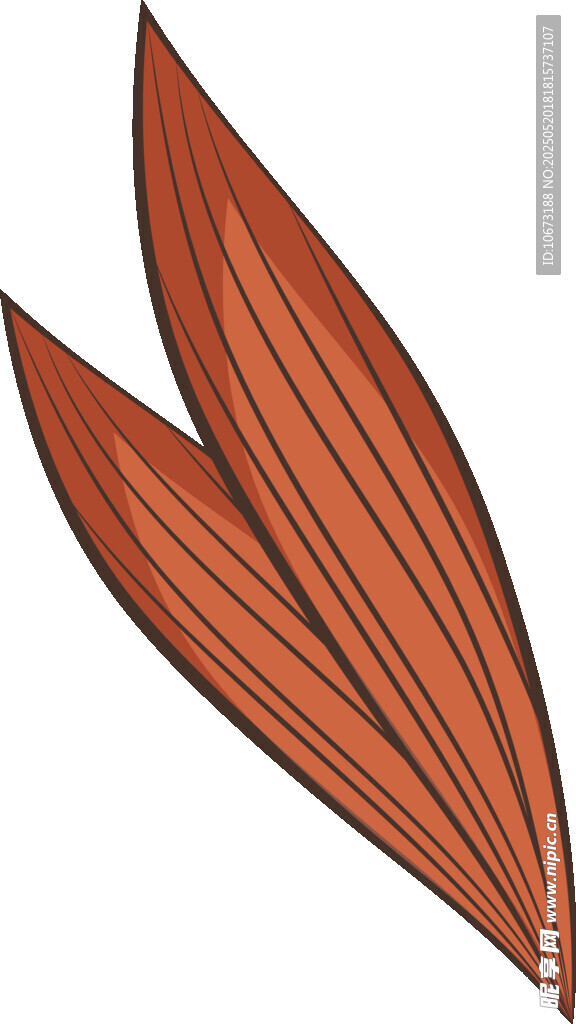 两片橙红色叶片插画