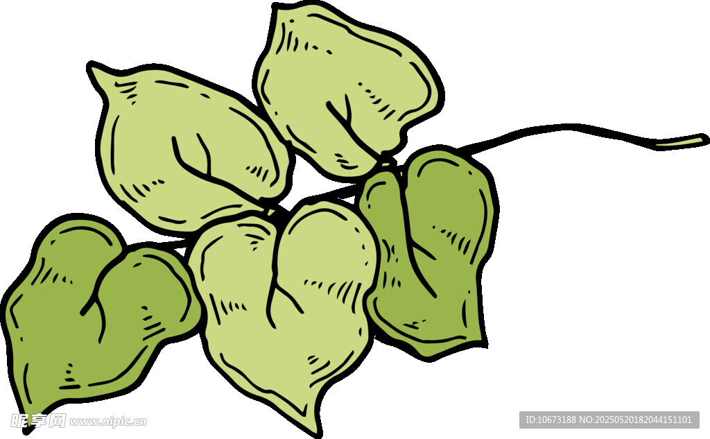 手绘绿色叶片植物插画